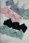 Double Strip Paded Bra With Net Underwear